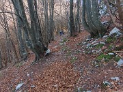 34 In bella faggeta 